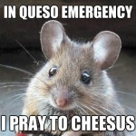 praying_mouse